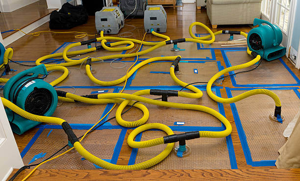 Professional Basement Flood Cleanup technician working in Arcadia, OH